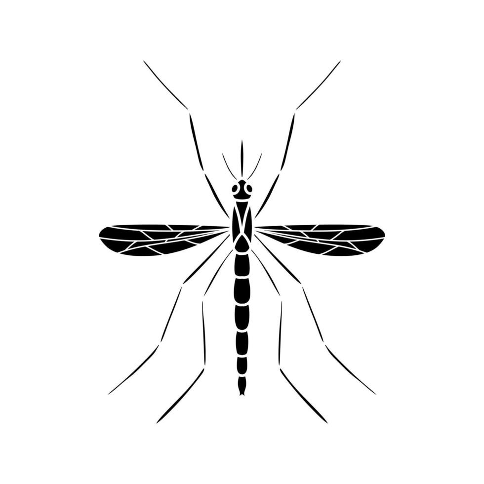 Mosquito isolated on white background line art drawing isolated vector