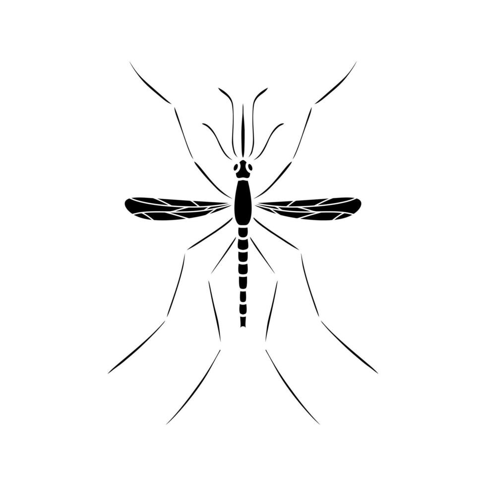 Mosquito isolated on white background. vector