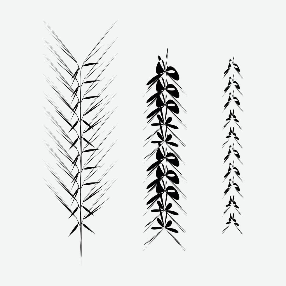 a set of three black and white drawings of leaves vector