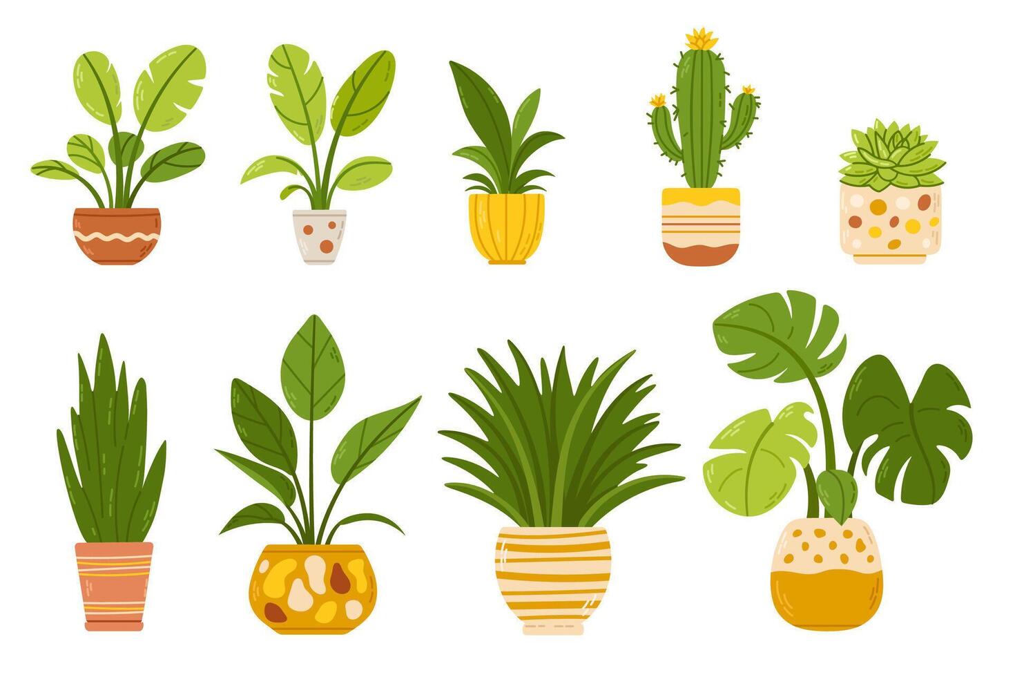 A collection of various potted houseplants, including succulents, cacti, and leafy plants in stylish ceramic pots. Perfect for home decor, nature themes, and botanical designs. vector