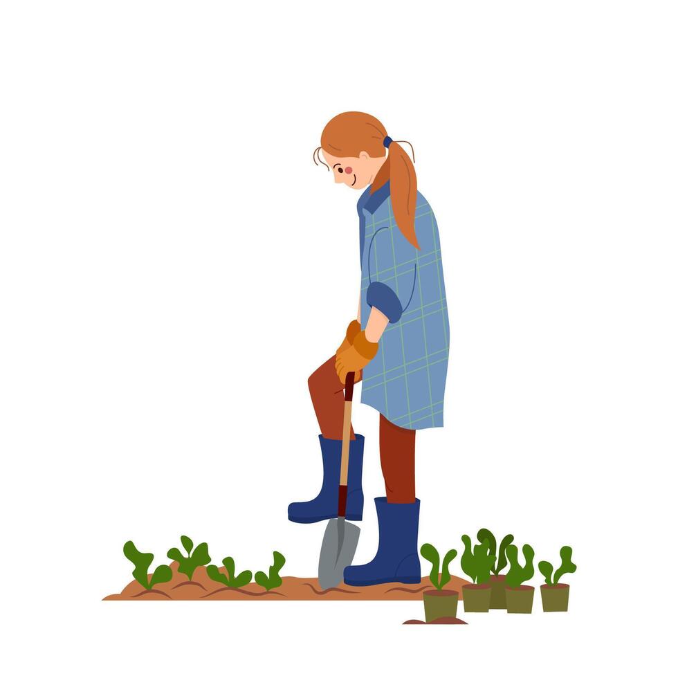 Female farmer cultivate plants on seedbed isolated on white. Agricultural girl during work. Girl digging a vegetable garden. illustration in flat style vector