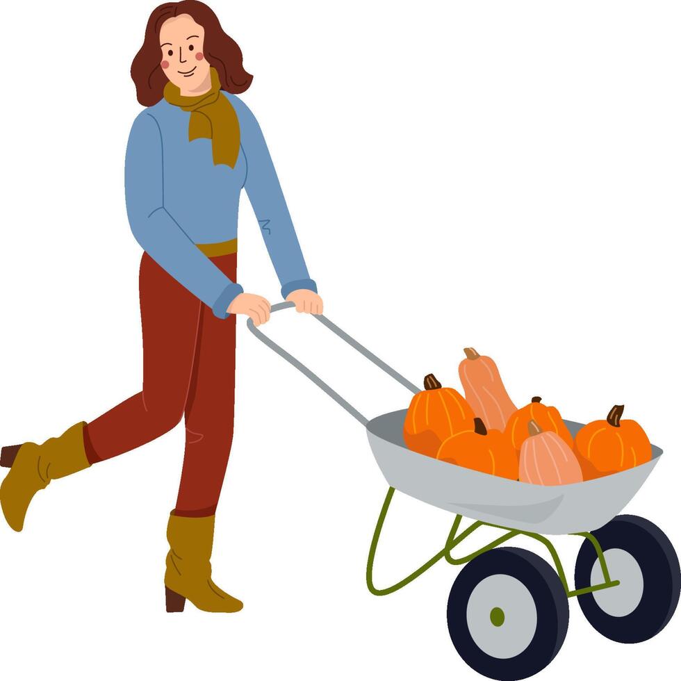 Woman pushing wheelbarrow with autumn harvest. Farm worker going with garden cart with pumpkins harvest. Farmer and pushcart. Colored flat illustration isolated on white background vector