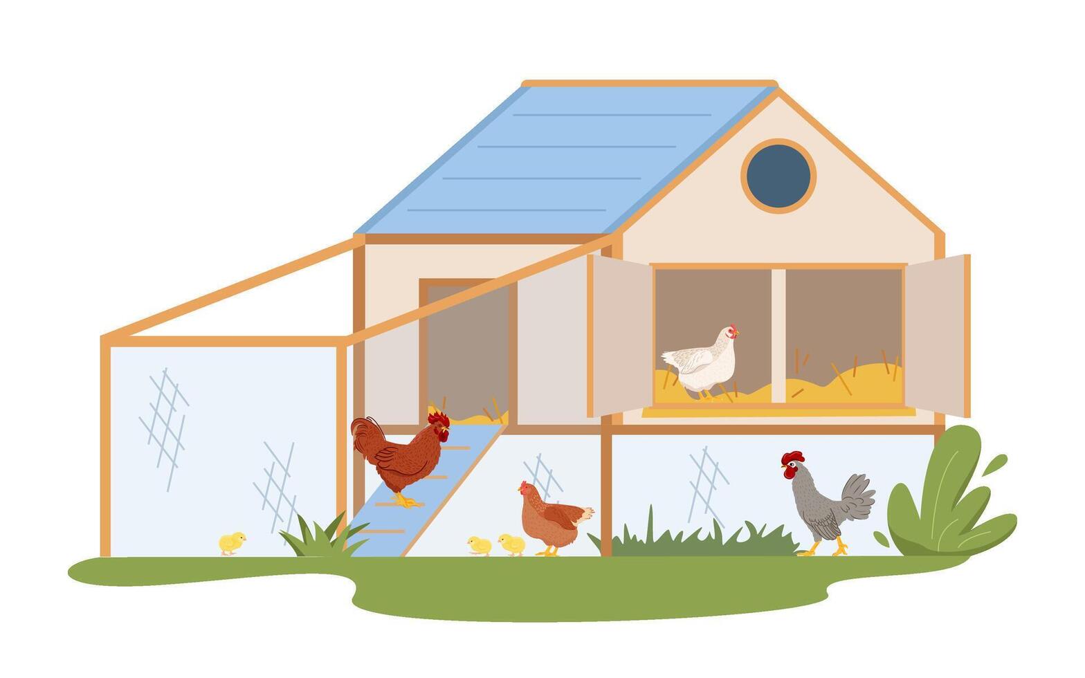 Cartoon illustration of a wooden chicken coop with hens, roosters and chick. poultry farm, barn, chicken coop, different domestic birds isolated on white background. Farming agriculture concept vector