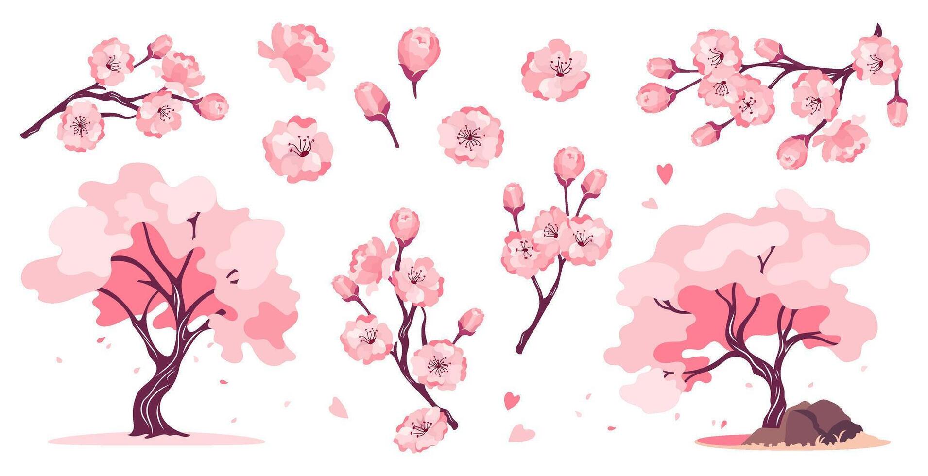 Collection of design elements cherry blossoms in full bloom for Hanami festival. Spring sakura branch flowers, trees and pink buds. Flat holiday illustrations set isolated on white backgrounds. vector