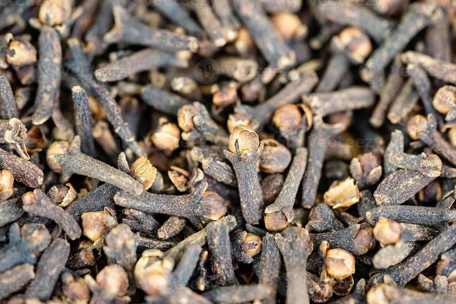 dried cloves Syzygium aromaticum photo