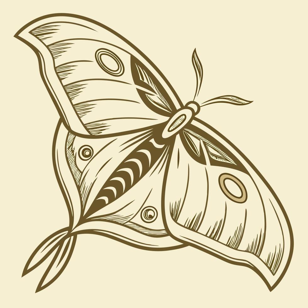 A linear illustration of a butterfly. Flat style. vector