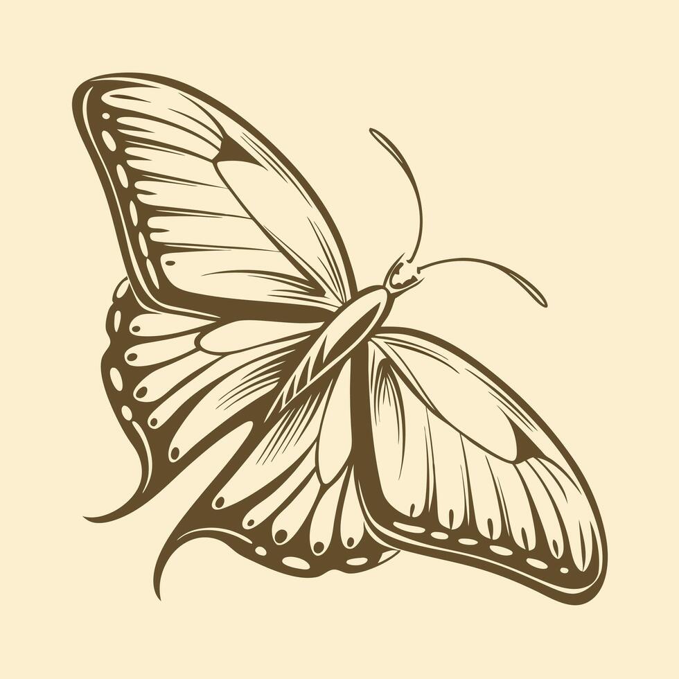 A linear illustration of a butterfly. Flat style vector