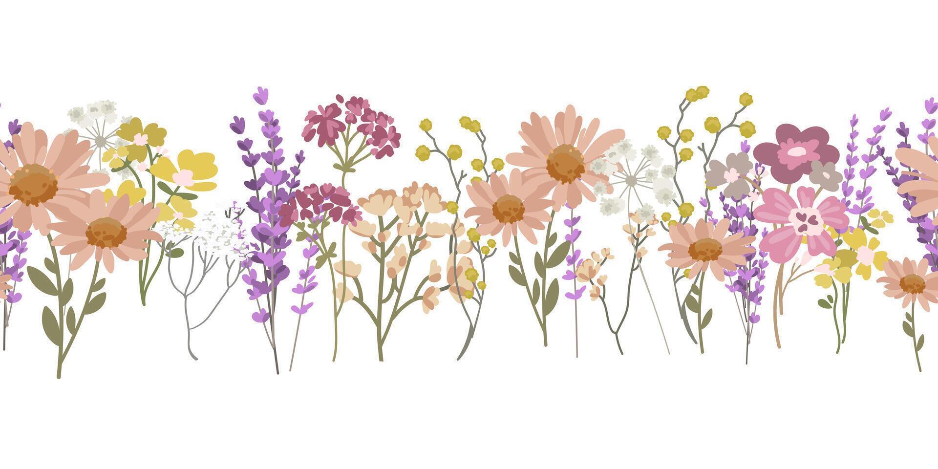 Seamless floral border with wildflowers and herbs botanical elements. Spring decoration perfect for greeting cards, invitations, packaging, textile prints, wallpaper,and web design. illustration vector