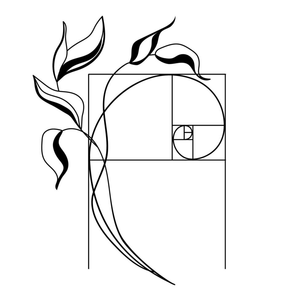 Golden ratio spiral with botanical elements plant minimal line drawing.Black and white leaves with sacred geometry, balance and natural harmony for logo, posters, tattoos, branding. illustration vector