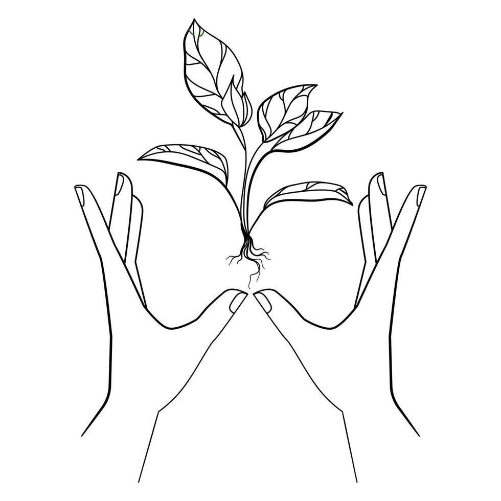Two hands holding a growing plant, care, growth, and environmental responsibility concept. line art drawing connection between humans and nature for eco friendly , sustainability projects,logo. vector