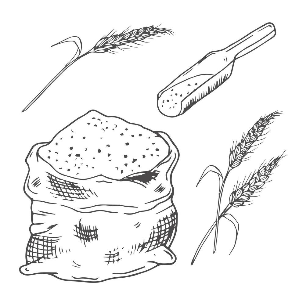 Sack of flour. illustration on white background, design element vector