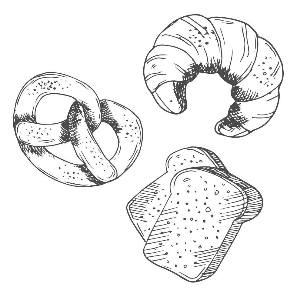 Bread and bakery food sketch icons baked loaf, rye and wheat bread, croissants and pretzel. Braided buns and french baguette, rolling pin, toque and scoop engraving retro bakery shop assortment vector