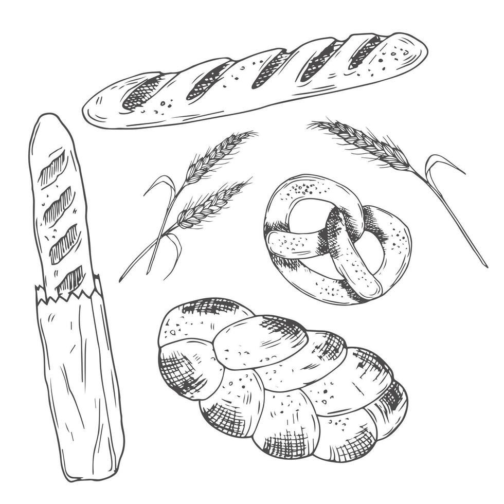 bakery food sketch icons baked loaf, rye and wheat bread, croissants and pretzel. Braided buns and french baguette, rolling pin, toque and scoop engraving retro bakery shop assortment vector