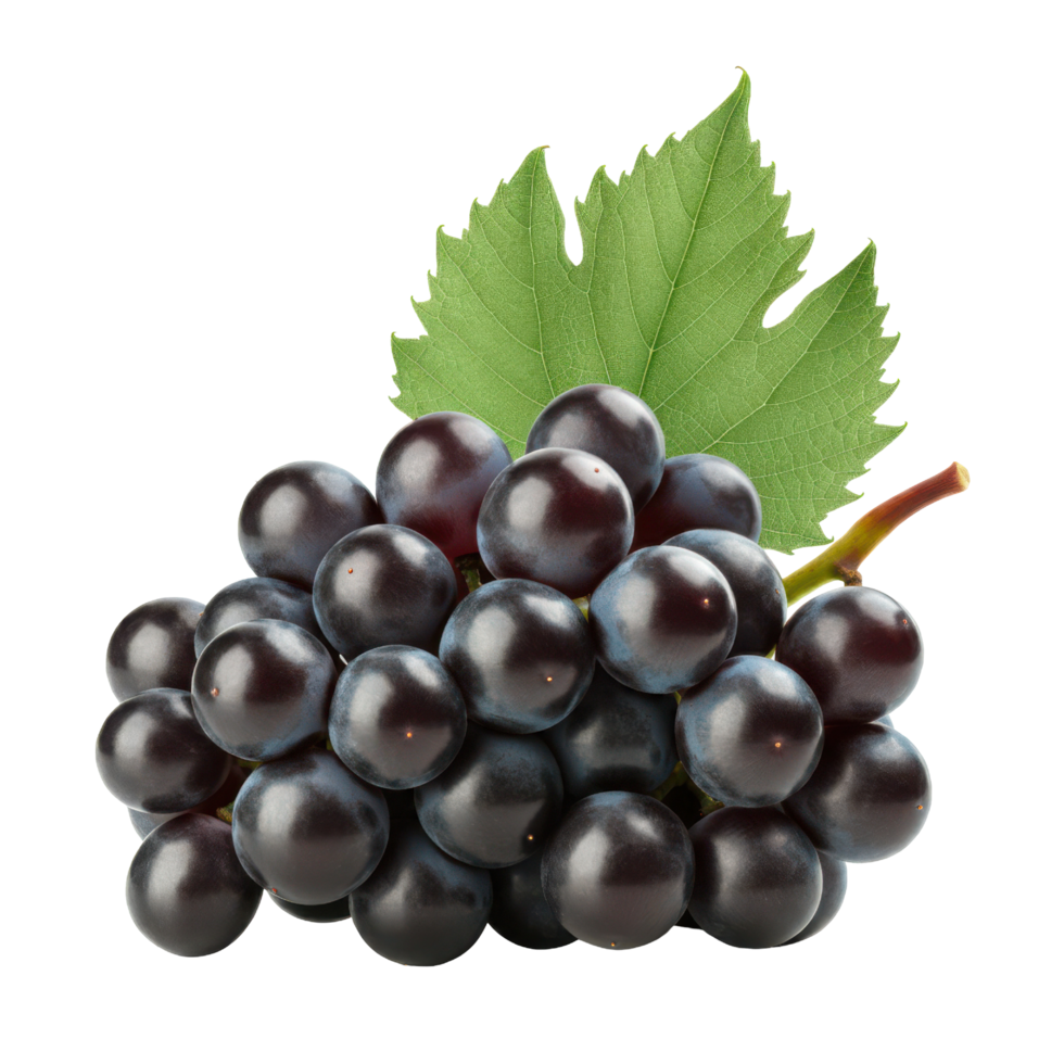 Fresh and Juicy Black Grapes Surrounded by Green Leaves png