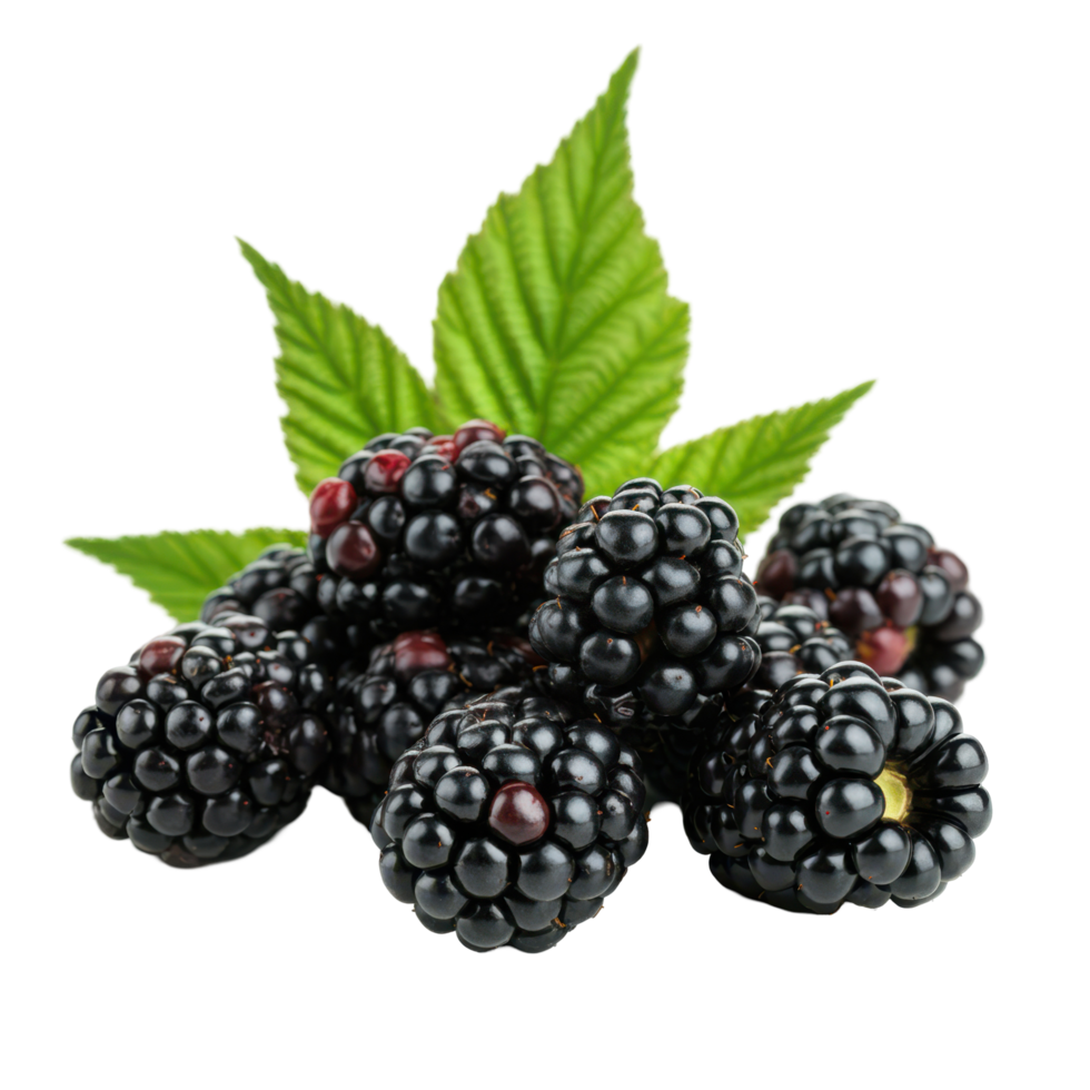 Whole Ripe Blackberries with Green Leaves Bursting with Fresh Sweetness png