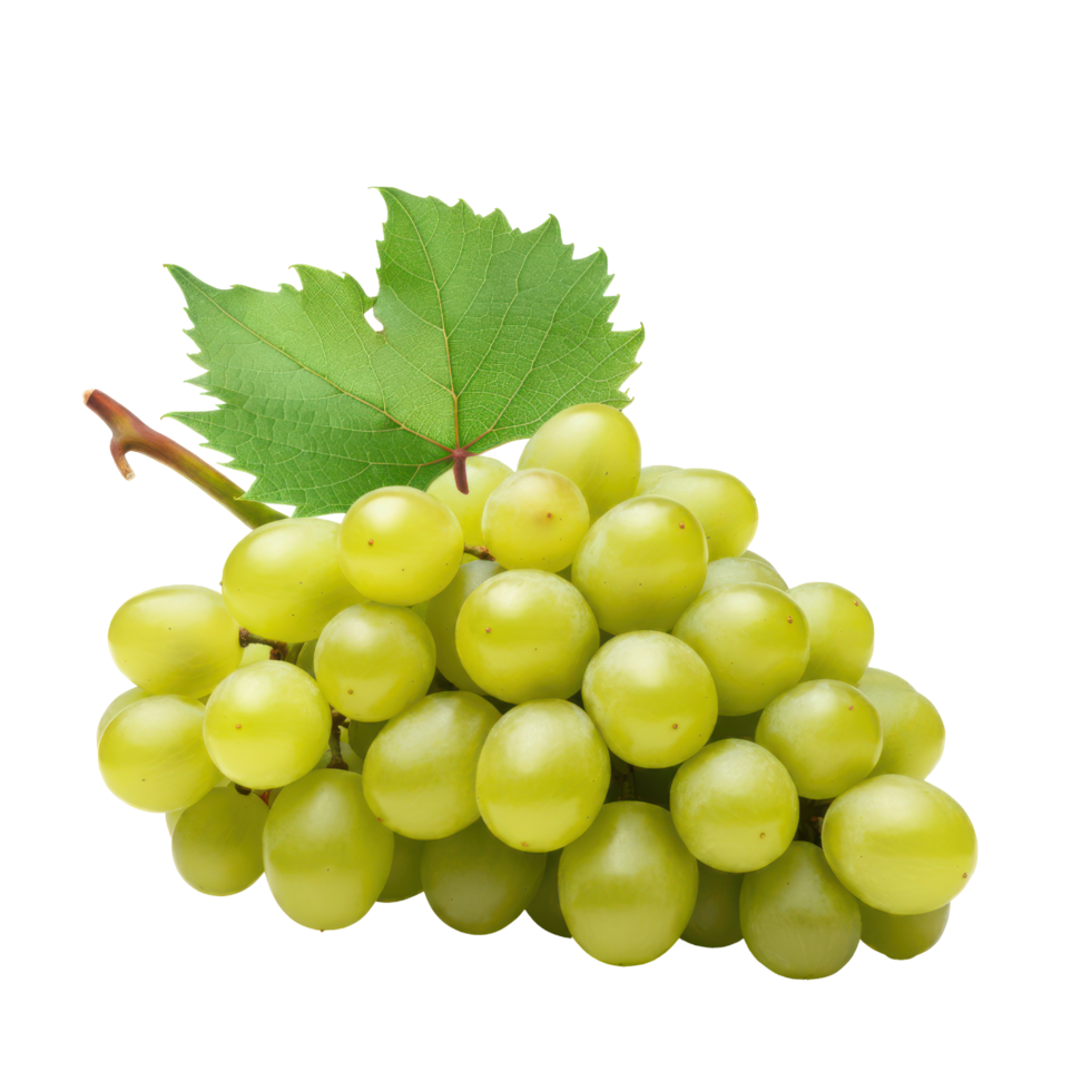 Bountiful Basket of Green Grapes with Leafy Overflow png