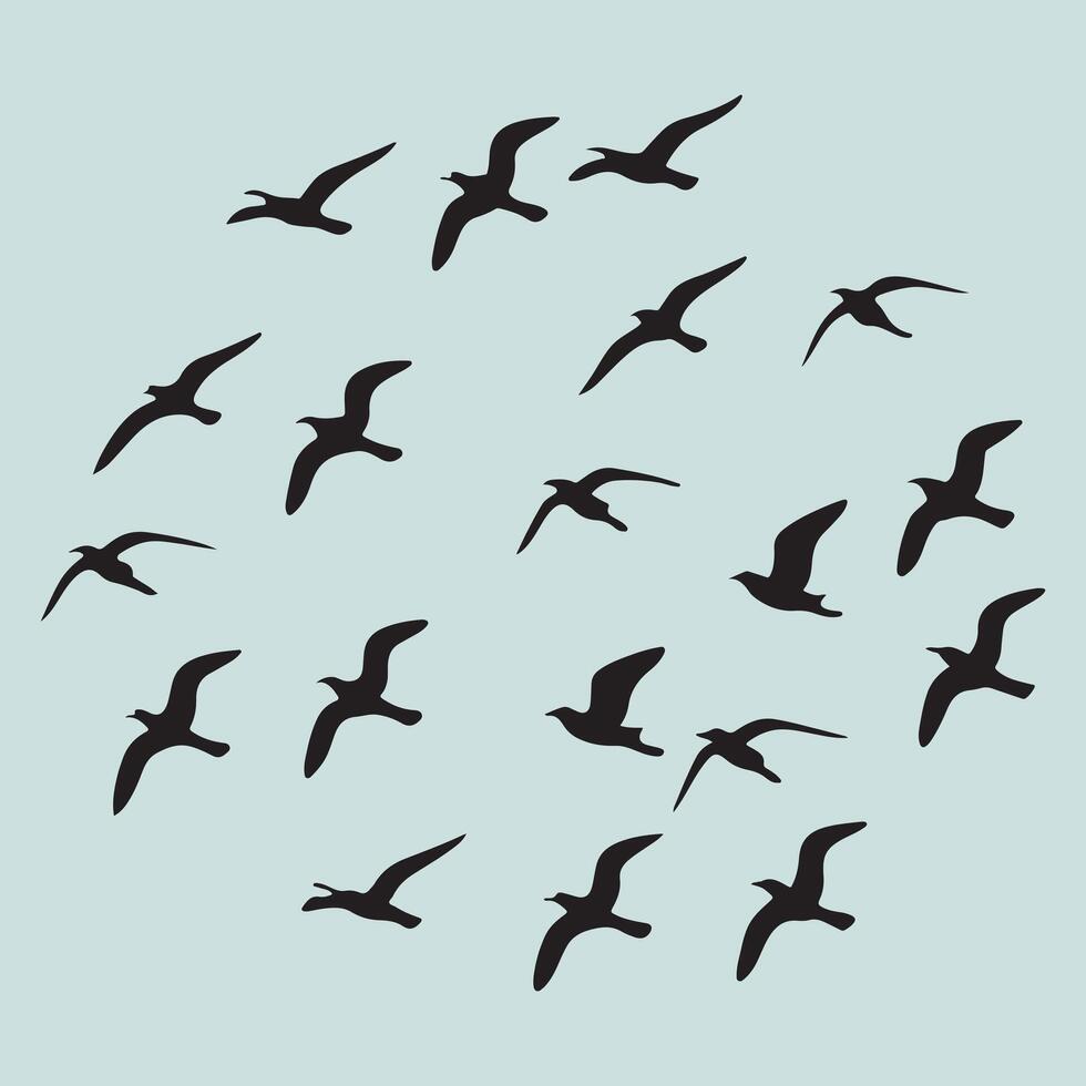 A flock of birds flying in a circle vector