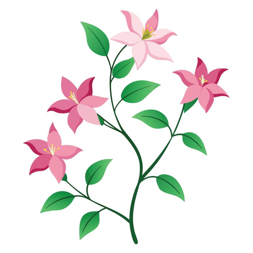 Pink flowers with green leaves on a white background vector