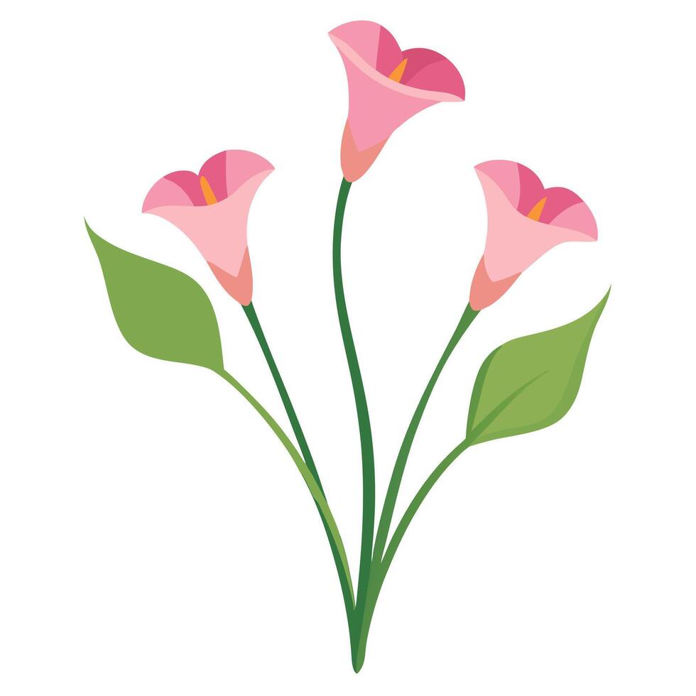 Pink flowers with green leaves on a white background vector