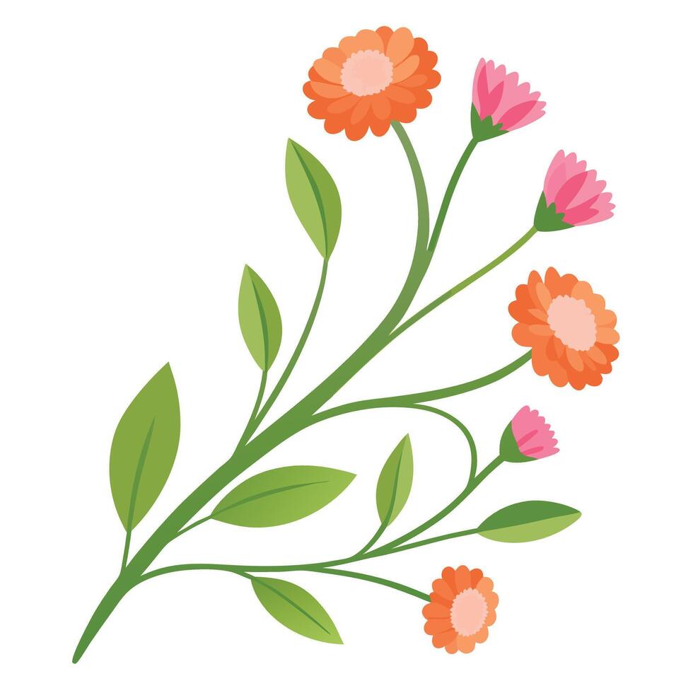 Floral illustration of orange flowers vector