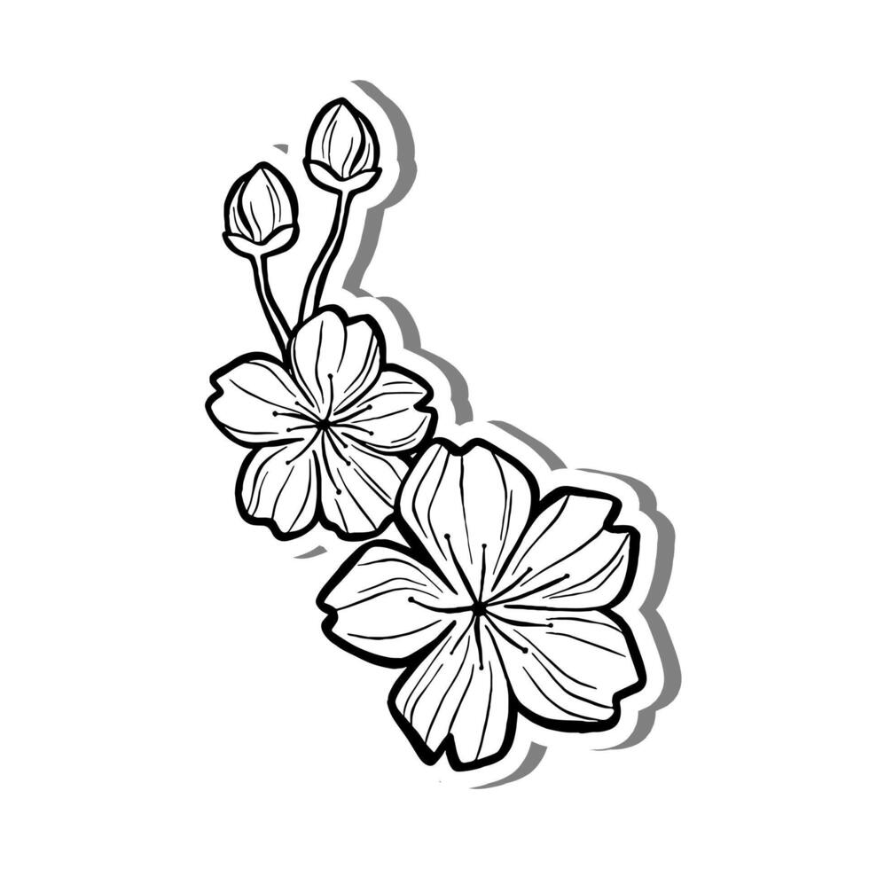 Cute Little Sakura Bouquet Outline on white silhouette and gray shadow. Hand drawn cartoon style. illustration for decorate, coloring and any design. vector