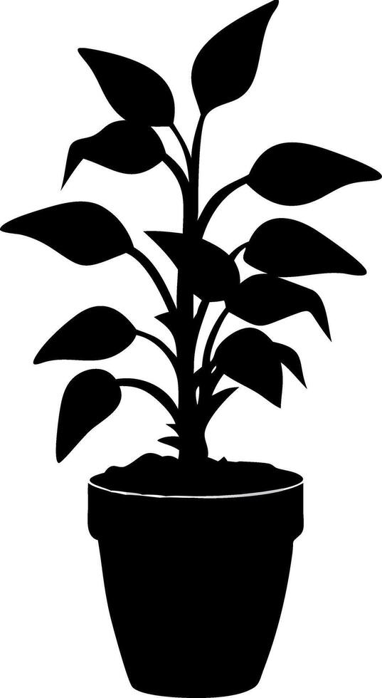 Black Silhouette of Indoor Potted Plant for Art and Design Projects vector