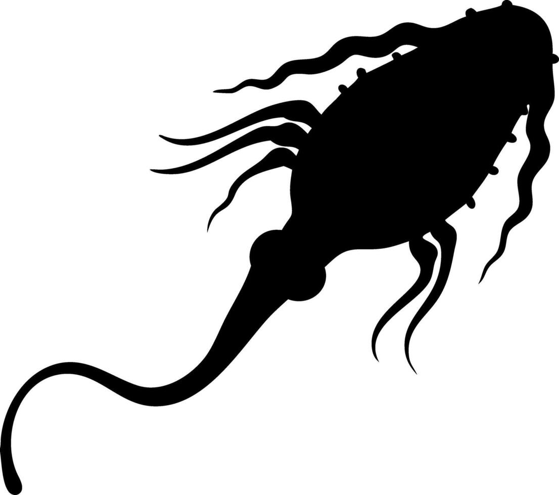 Black Silhouette of Copepod Sea Creature for Educational Illustration and Design vector