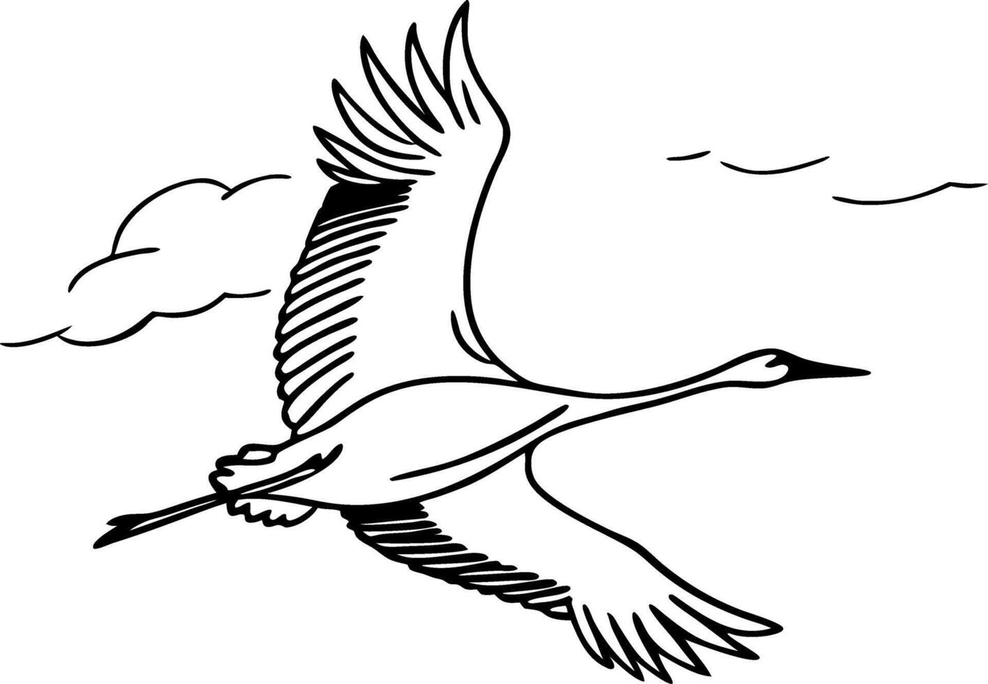 Elegant Flying Crane Line Art Minimalist Bird Illustration for Tattoo or Coloring vector