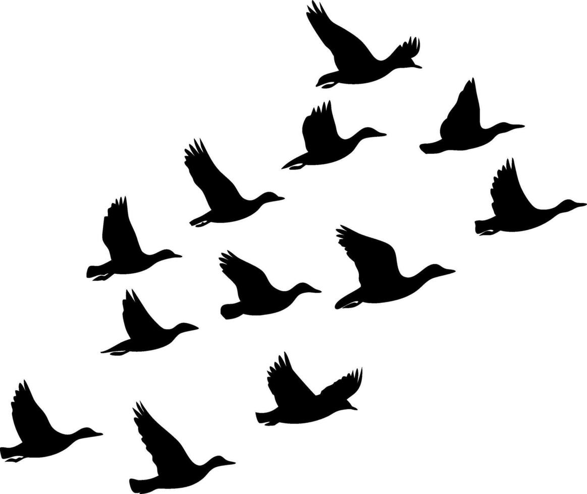 Flying Bird Silhouettes Art for Nature and Wildlife Design Projects vector