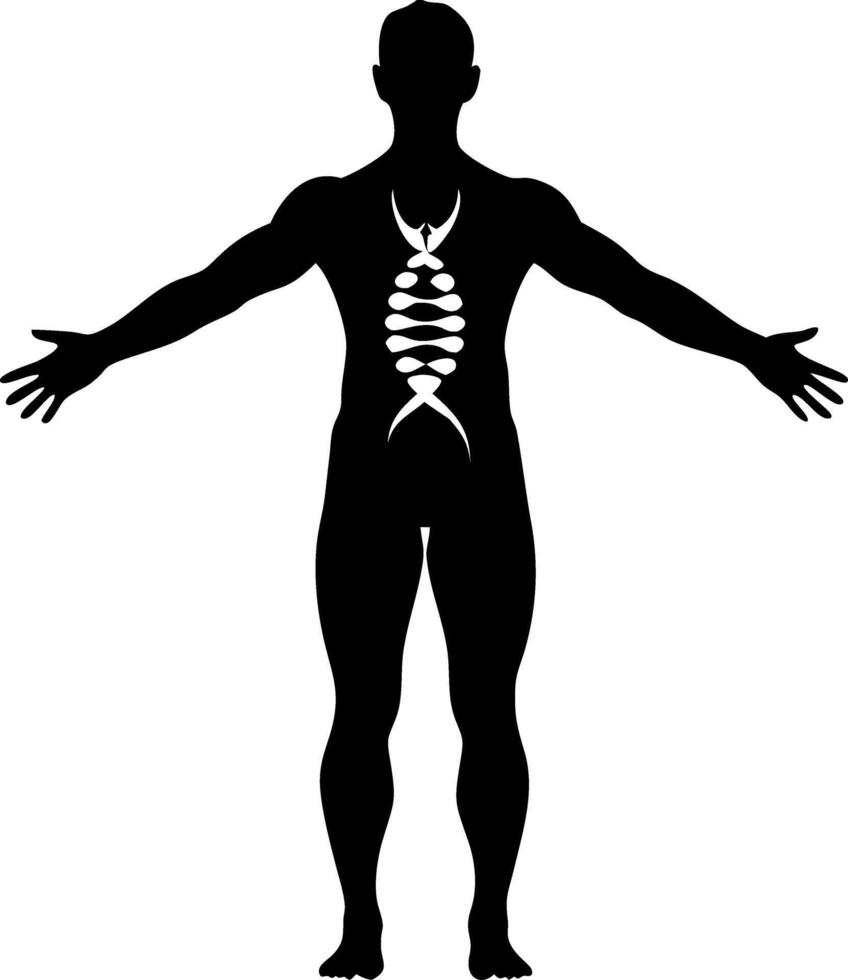 Silhouette of Human Figure with DNA Spine Design for Medical Illustration vector