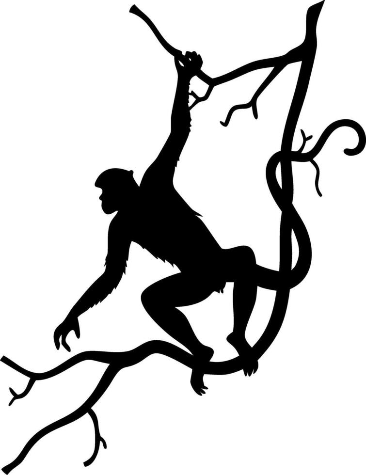 Silhouette of Monkey Swinging on Jungle Branch Illustration vector