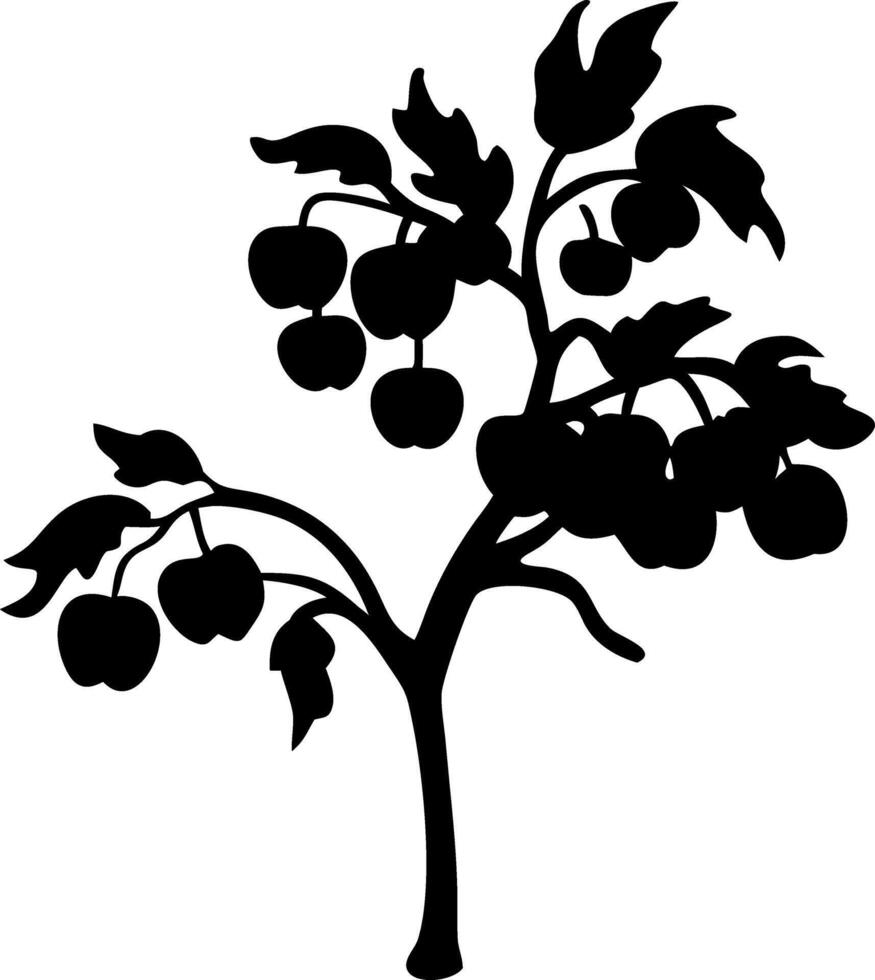 Silhouette Tomato Plant Illustration for Design and Decoration Projects vector