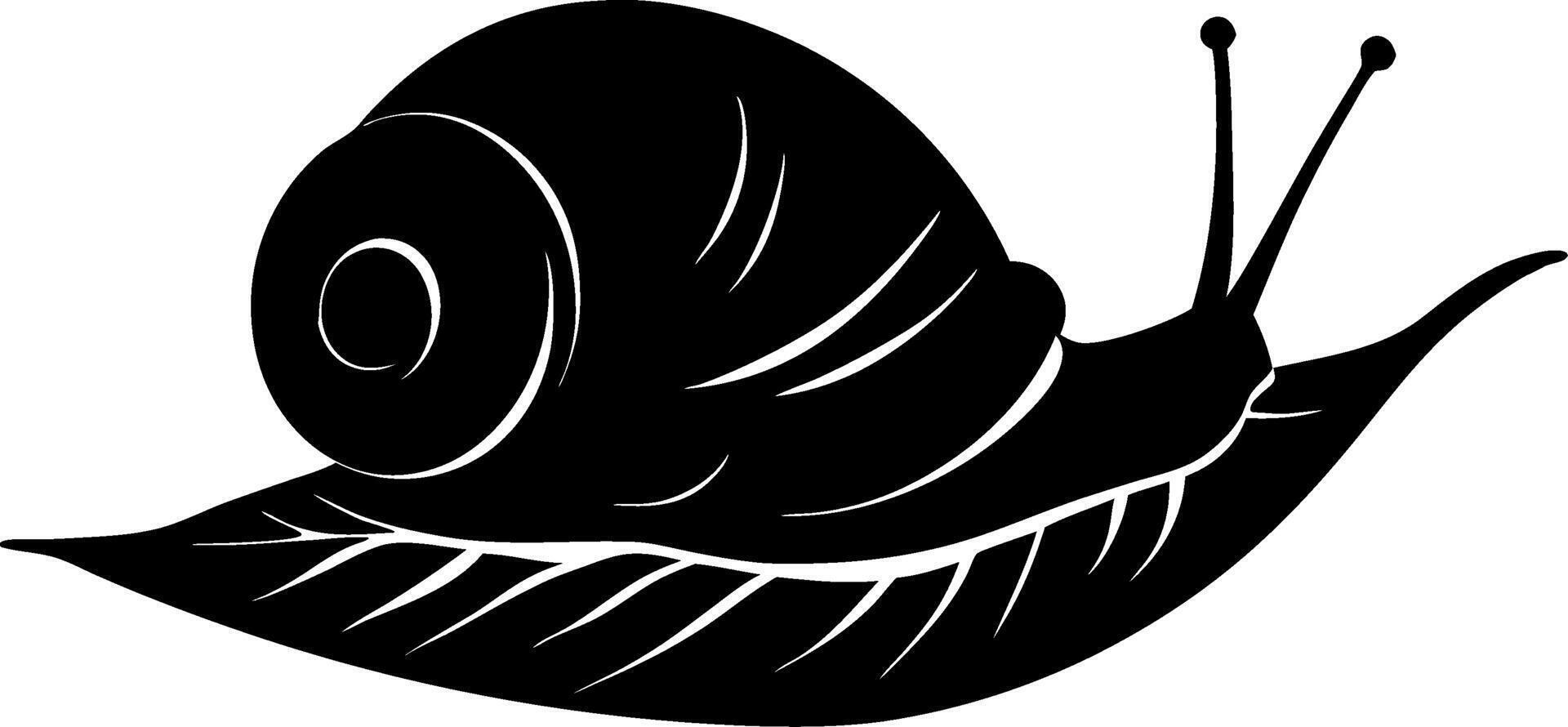 Snail Silhouette on Leaf Ideal for Tattoos and Nature-Themed Coloring Books vector