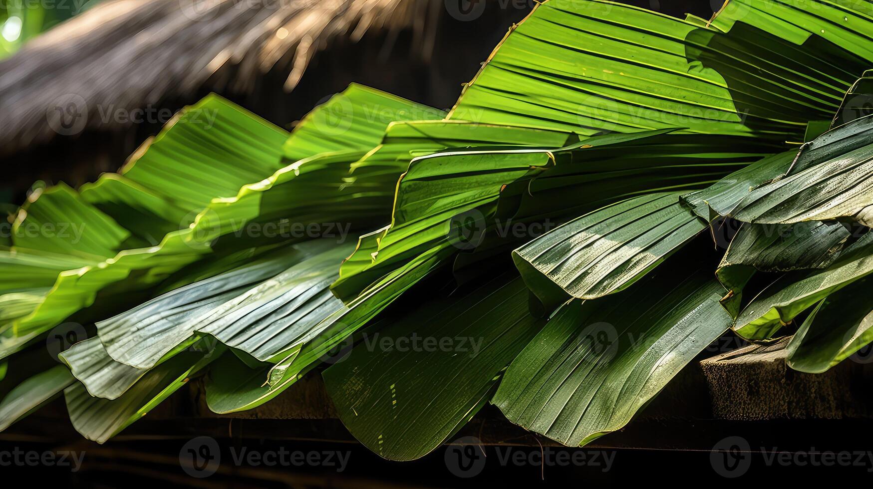 material coconut leaf photo