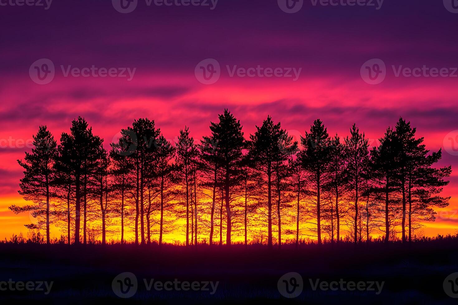 Vibrant Sunset Silhouette of Pine Trees in a Dramatic Sky for Wall Art and Nature Prints photo
