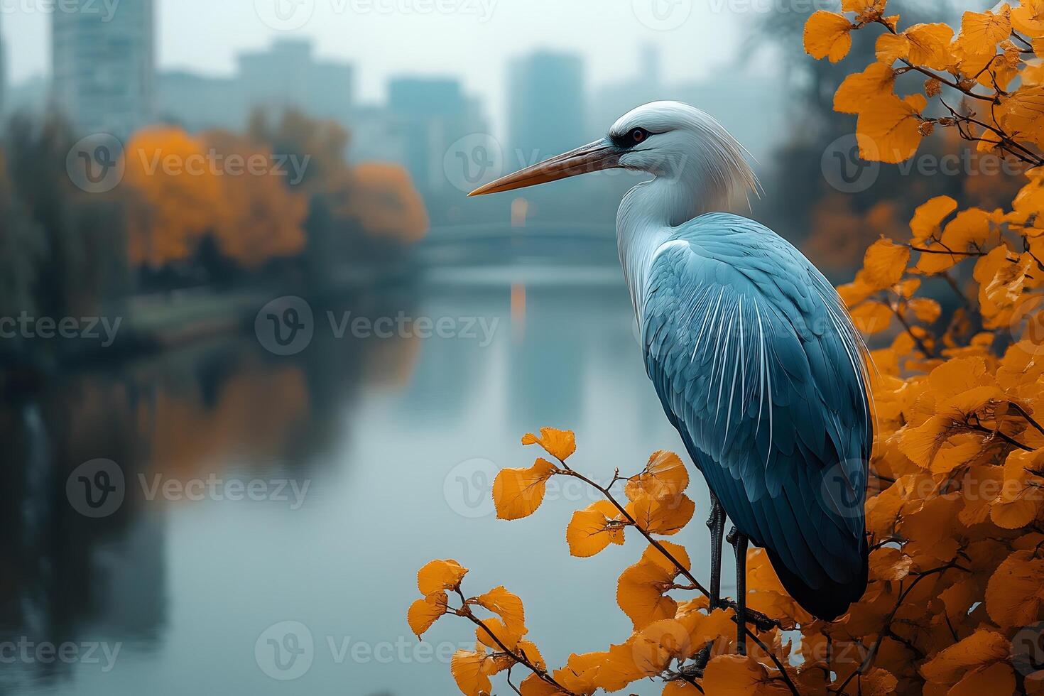 Majestic Heron Overlooking Autumn River in Urban Setting for Nature Posters photo