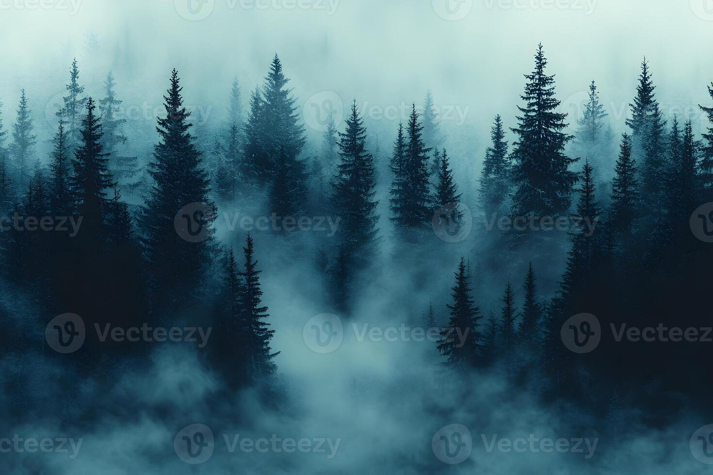 Enchanted Foggy Forest Landscape for Nature and Wilderness Themes photo
