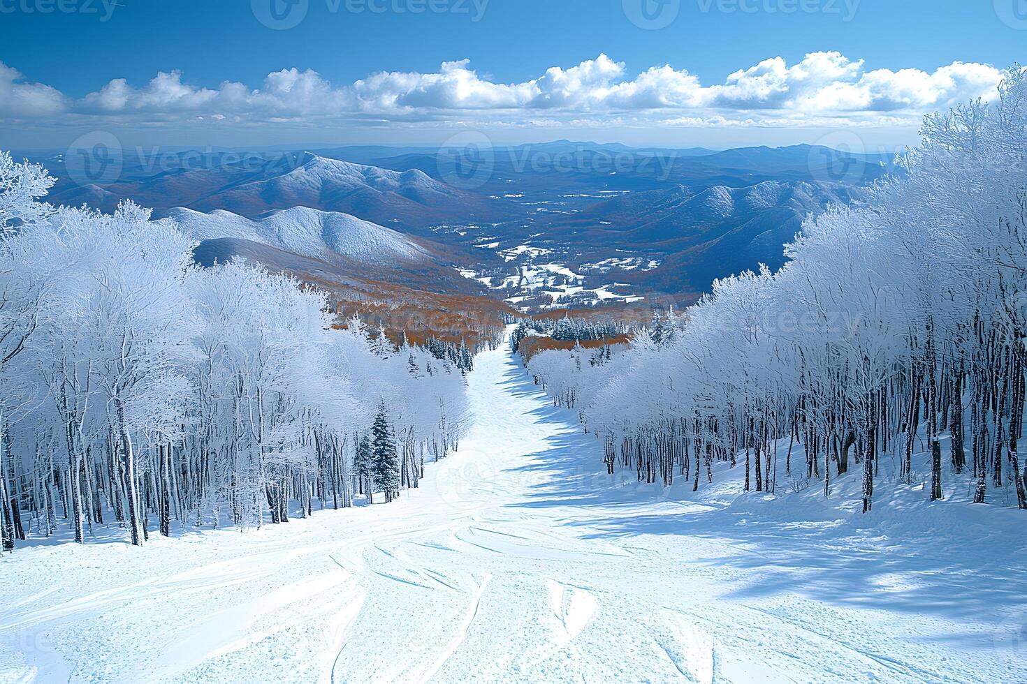 Serene Winter Landscape with Snowy Mountains and Frosted Trees for Nature Posters photo