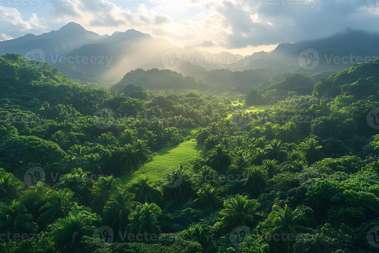 Lush Tropical Valley with Morning Sunrays and Mountain Views for Nature Design photo