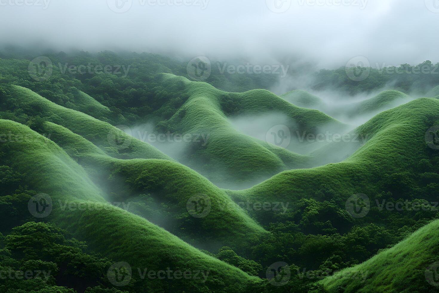 Tranquil Mist Over Lush Green Hills in Serene Landscape Design for Nature Prints photo