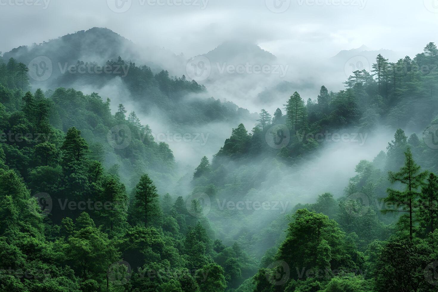Mystical Foggy Forest Landscape in Mountainous Region for Nature Photography and Poster Design photo