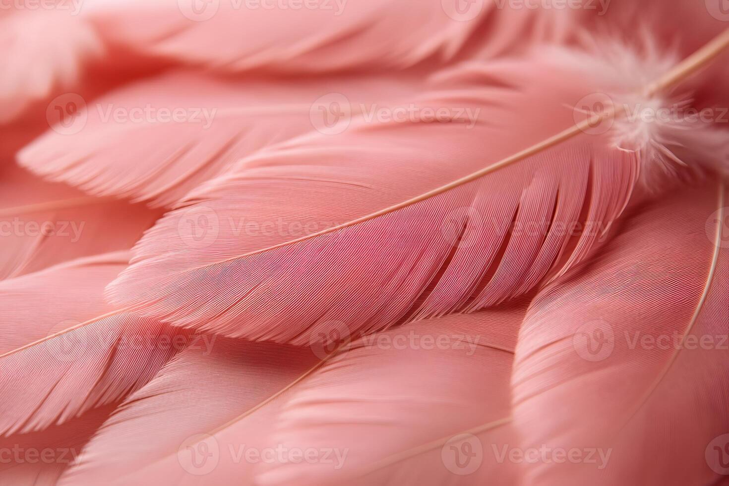 Soft Pink Feather Arrangement for Elegant Home Decor and Design Inspiration photo