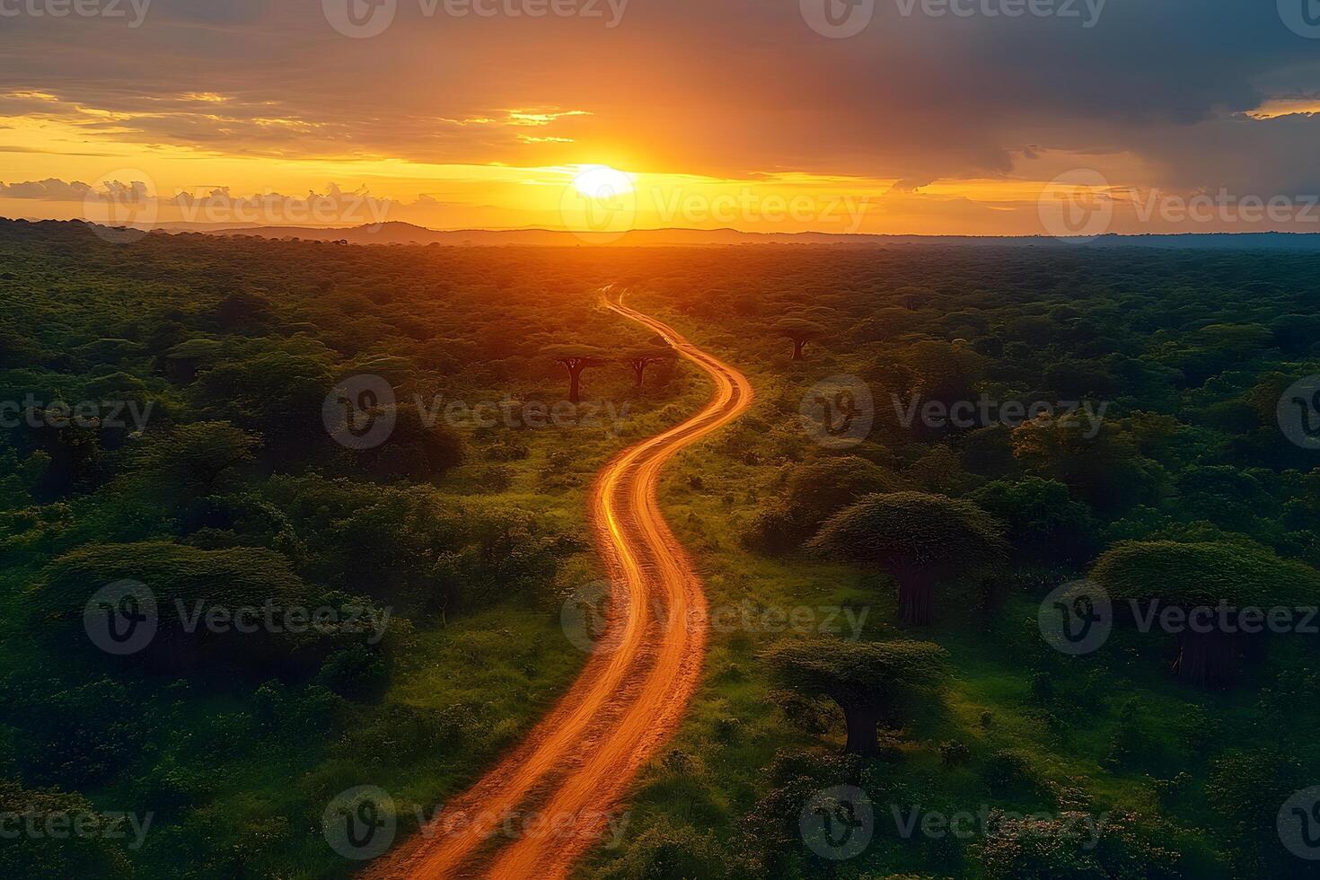 Scenic Sunset Over Serene Savannah Path - Nature Landscape Photography for Posters and Decor photo