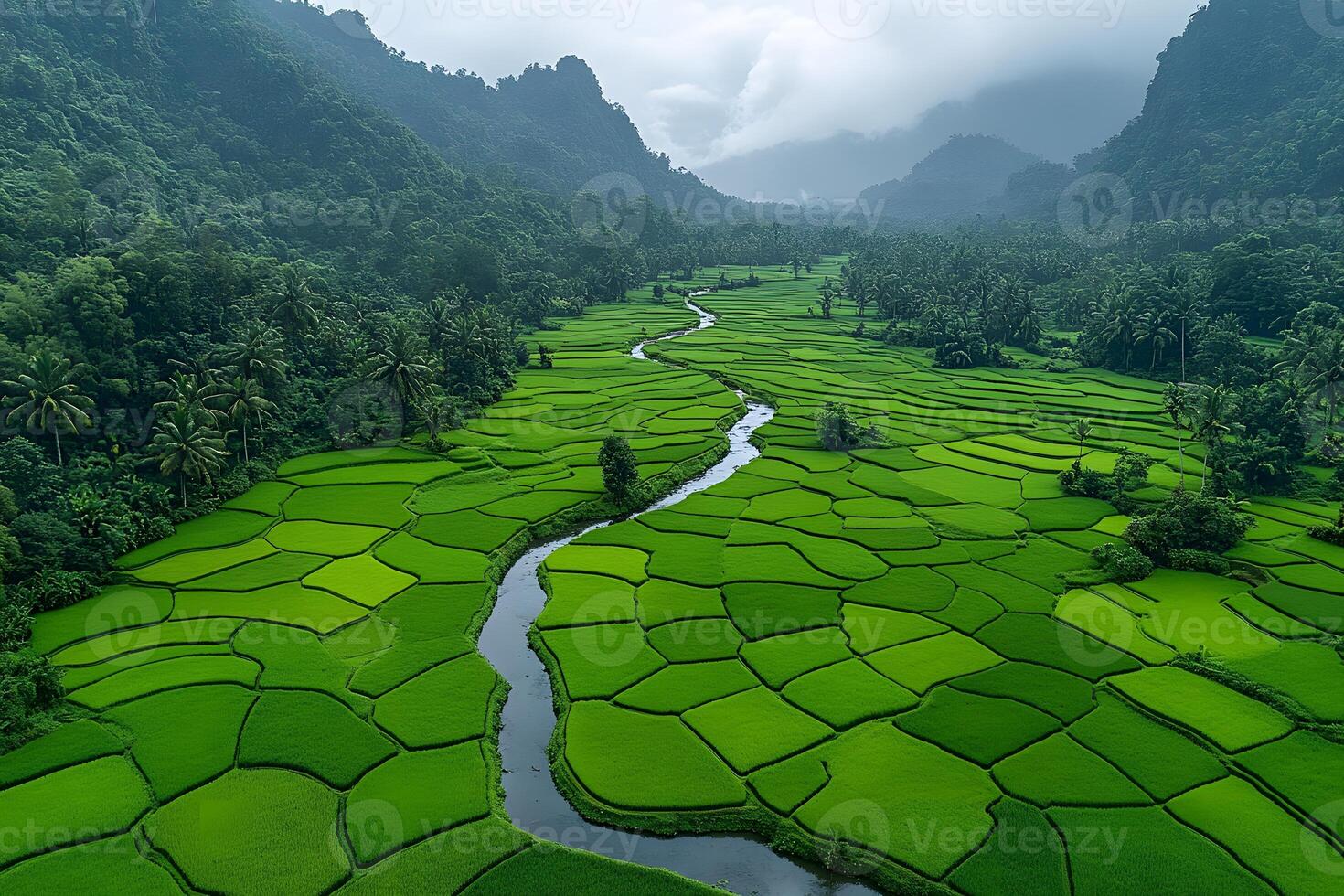 Serene View of Lush Green Rice Terraces in Misty Valley photo