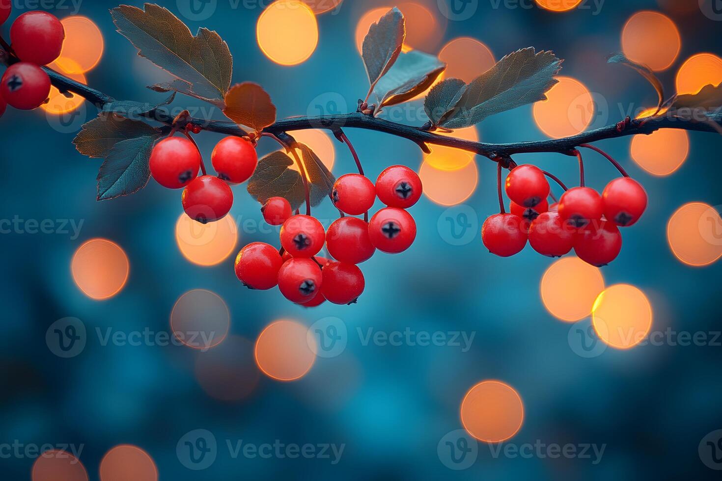 Festive Holiday Theme with Red Berries and Warm Bokeh Lights for Seasonal Design photo