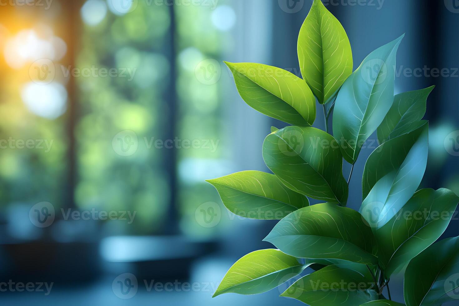 Lush Green Foliage in Sunlit Space for Nature-Themed Decor or Posters photo