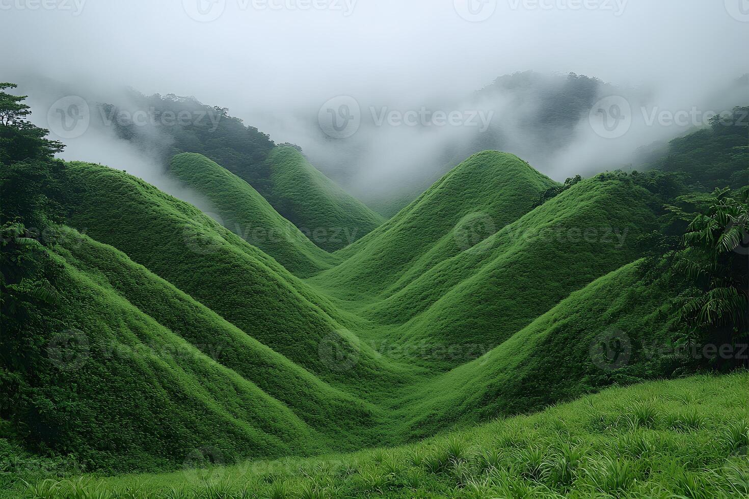 Idyllic Mist-Covered Green Hills in a Serene, Lush Landscape photo