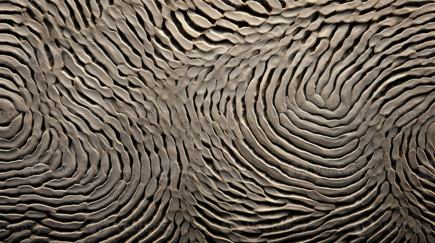 loops scientific texture photo