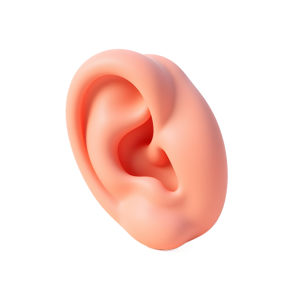 Realistic Human Ear 3D Render Peach Color png