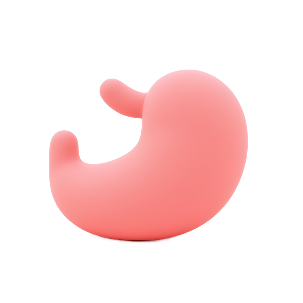 3D Render of Pink Human Stomach Anatomy Model png